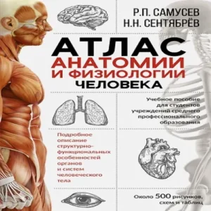 Hfn06pdry9nPlFcDiiaH97JOURDxpjCm500_500-1